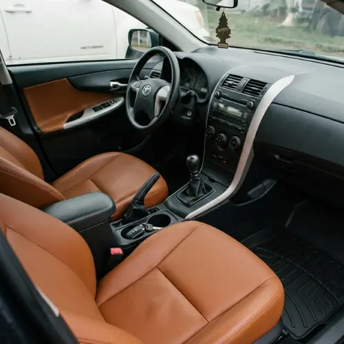 higienização interna auto eco guarulhos